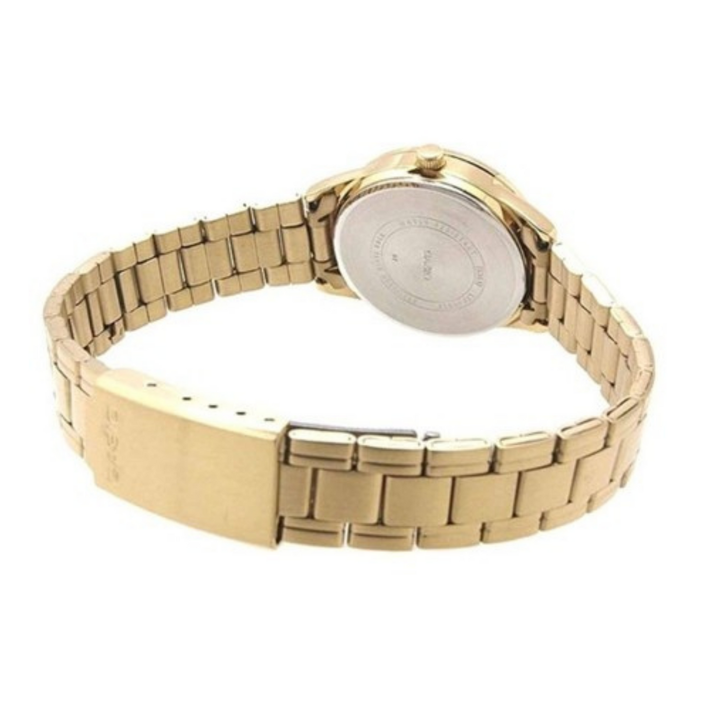 Casio Standard Golden Ladies Chain Watch LTP-V005G-1BUDF