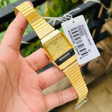 Casio Vintage Dual Time Golden Chain Watch AQ-800EG-9ADF