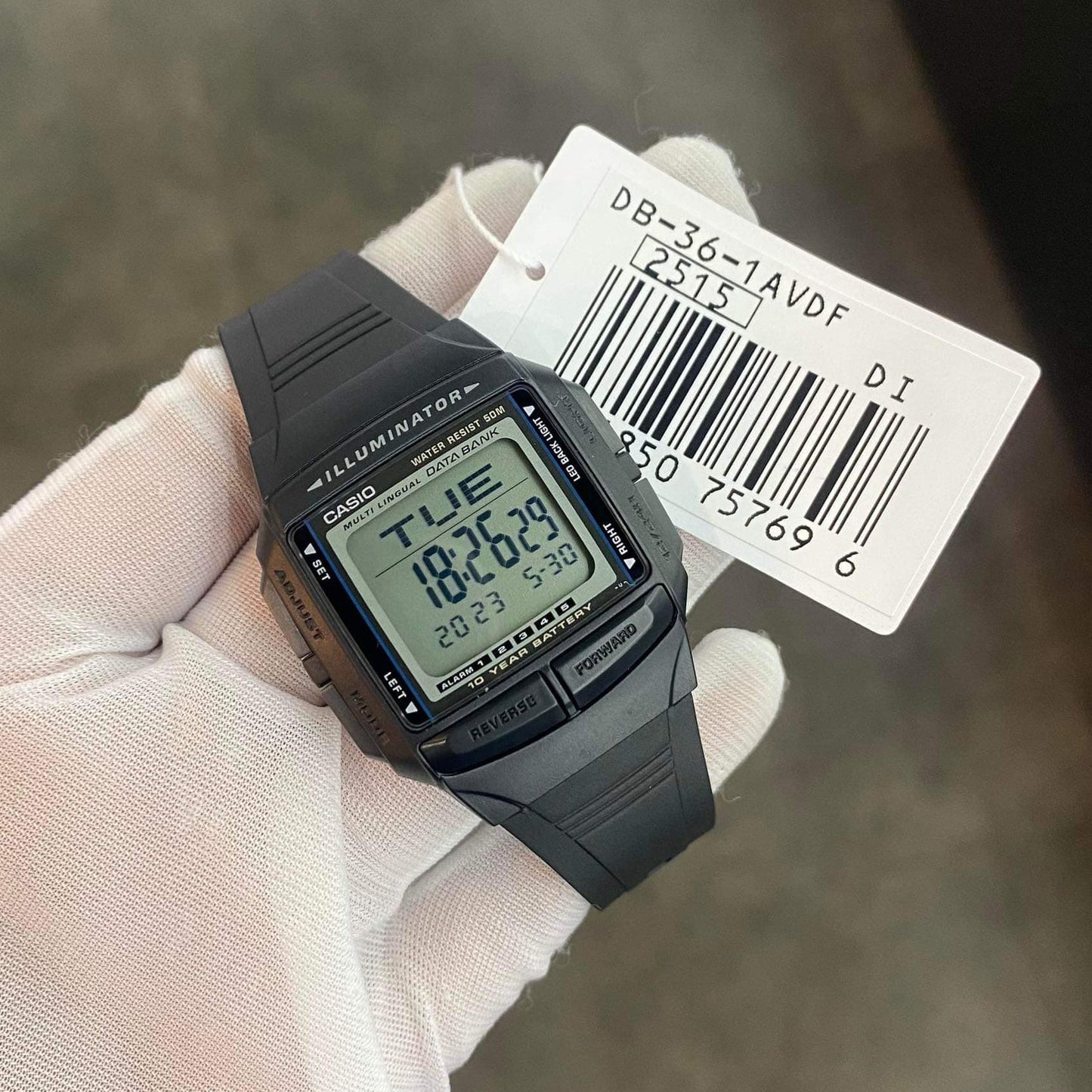 Casio Vintage Illuminator Data Bank Resin Belt Watch DB-36-1AVDF