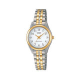 Casio Standard Two Tone Ladies Chain Watch LTP-1129G-7BRDF