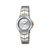 Casio Enticer Two Tone Ladies Chain Watch LTP-1242SG-7CDF