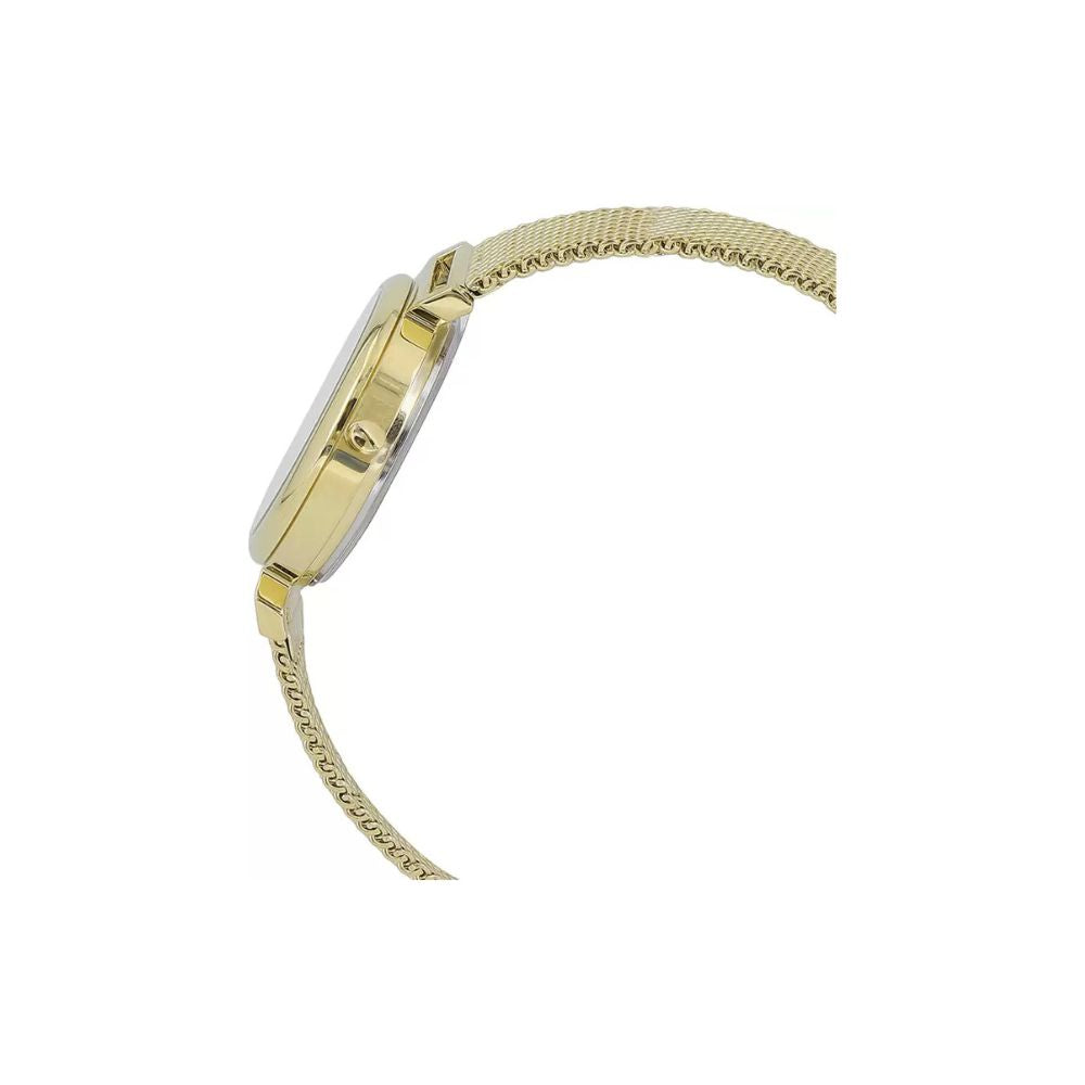 Casio Standard Ladies Mesh Chain Watch LTP-2023VMG-7CDR