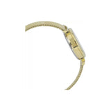 Casio Standard Ladies Mesh Chain Watch LTP-2023VMG-7CDR