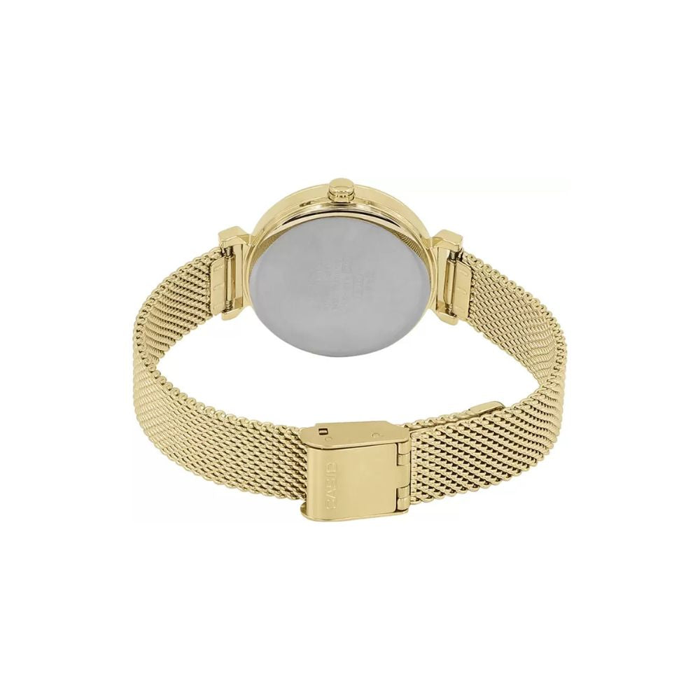 Casio Standard Ladies Mesh Chain Watch LTP-2023VMG-7CDR