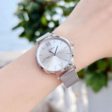 Casio Standard Ladies Mesh Chain Watch LTP-E157M-7ADF