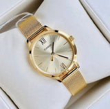 Casio Standard Ladies Mesh Chain Watch LTP-E157MG-9ADF