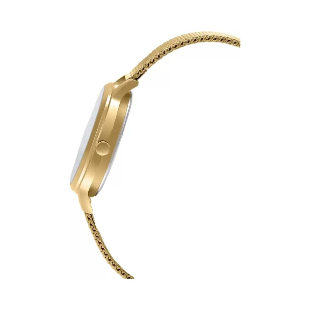 Casio Standard Ladies Mesh Chain Watch LTP-E157MG-9ADF