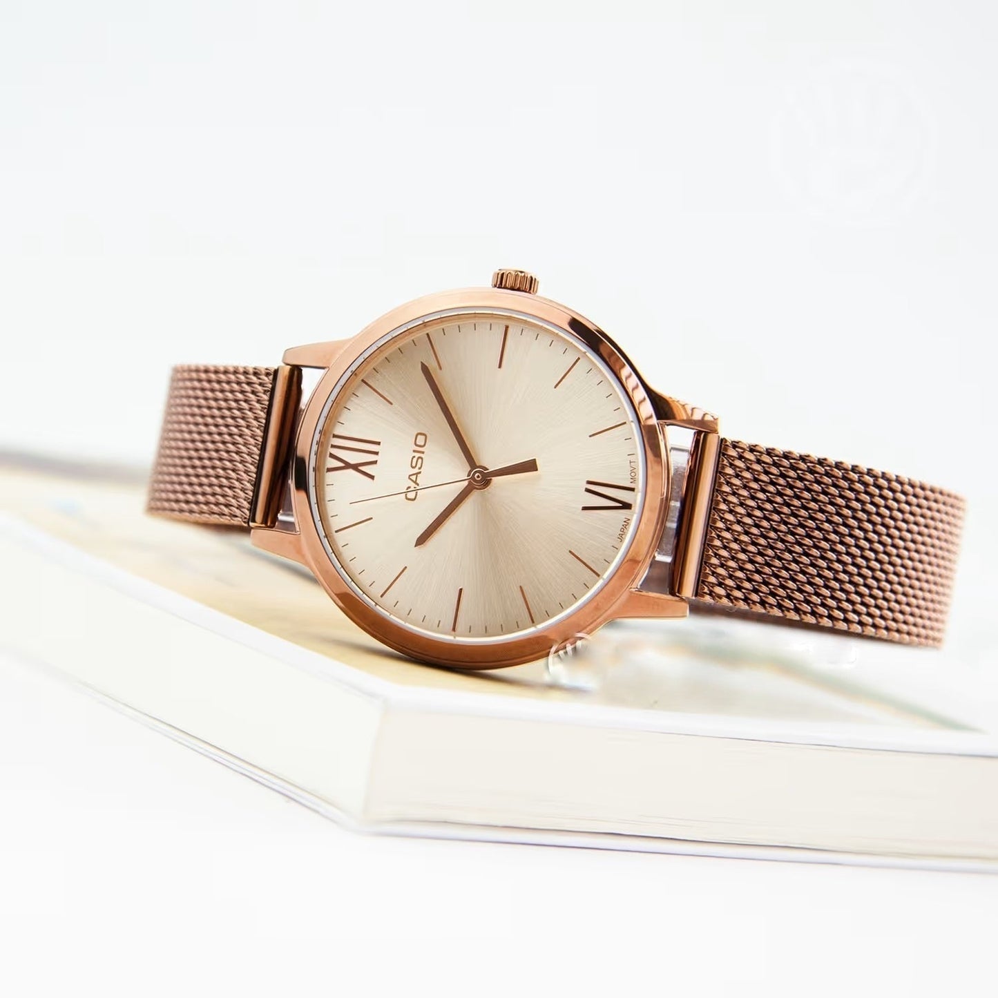 Casio Standard Ladies Mesh Chain Watch LTP-E157MR-9ADF