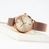 Casio Standard Ladies Mesh Chain Watch LTP-E157MR-9ADF