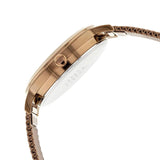 Casio Standard Ladies Mesh Chain Watch LTP-E157MR-9ADF