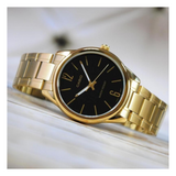 Casio Standard Golden Ladies Chain Watch LTP-V005G-1BUDF