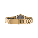 Casio Standard Day Date Golden Ladies Chain Watch LTP-V006G-9BUDF