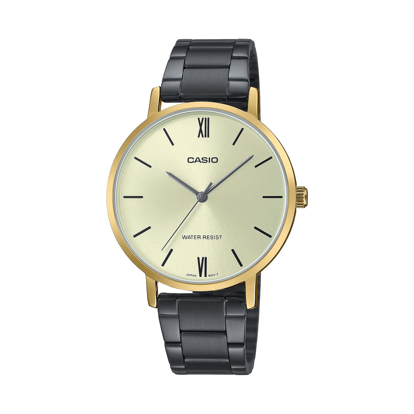 Casio Standard Golden Black Ladies Chain Watch LTP-VT01GB-9BUDF