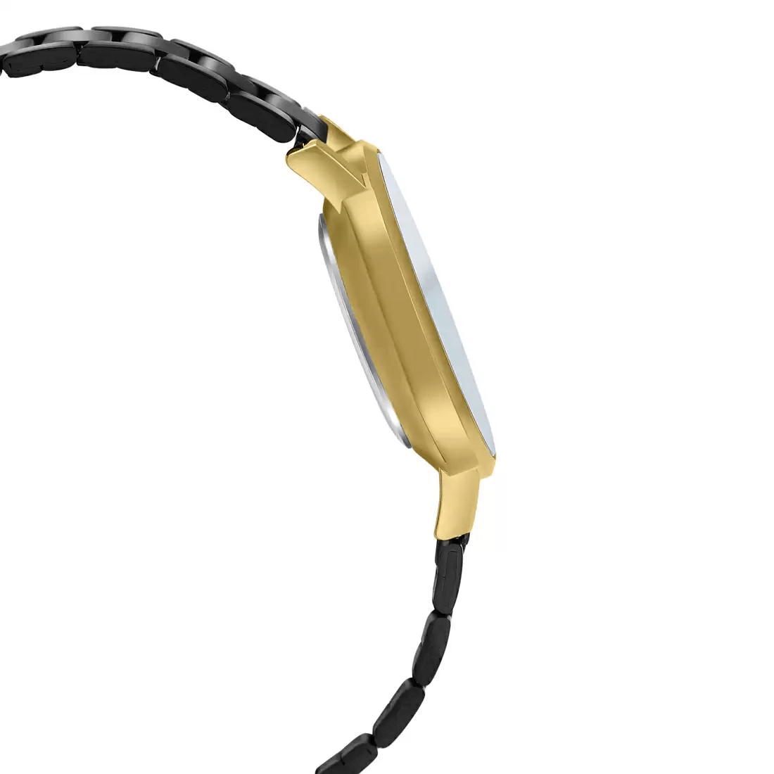 Casio Standard Golden Black Ladies Chain Watch LTP-VT01GB-9BUDF