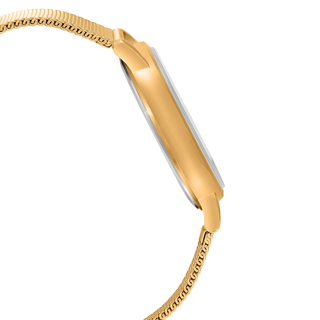 Casio Enticer Day Date Stainless Steel Golden Mesh Chain Watch MTP-B120MG-3AVDF