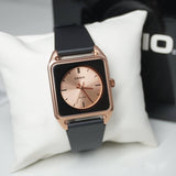 Casio Standard Resin Belt Watch MTP-B170-5EVDF