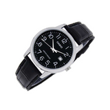 Casio Standard Date Belt Watch MTP-V002L-1BUDF