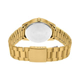 Casio Standard Date Chain Watch MTP-VD03G-1AUDF